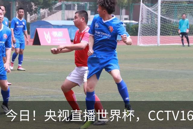 今日！央视直播世界杯，CCTV16转中超，网络转大连鲲城+可为+U17中国男篮+F1等