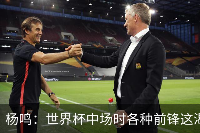 杨鸣：世界杯中场时各种前锋这渴了那饿了全来了 谁能记住后卫呢
